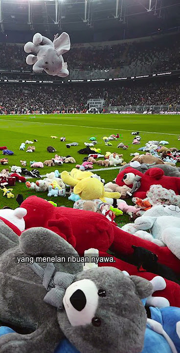 Supporter Lemparkan Boneka Ke Lapangan Saat Pertandingan