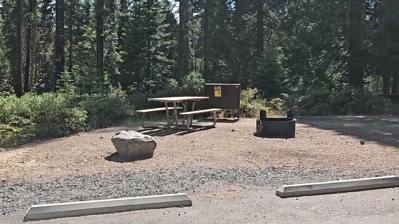Crane Flat Campground Site 425, Yosemite NP