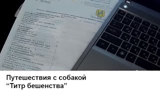 "Титр бешенства" - Как получть справку или тест на определение титра антител к бешенству "Титр бешенства" - Как получть справку или тест на определение титра антител к бешенству