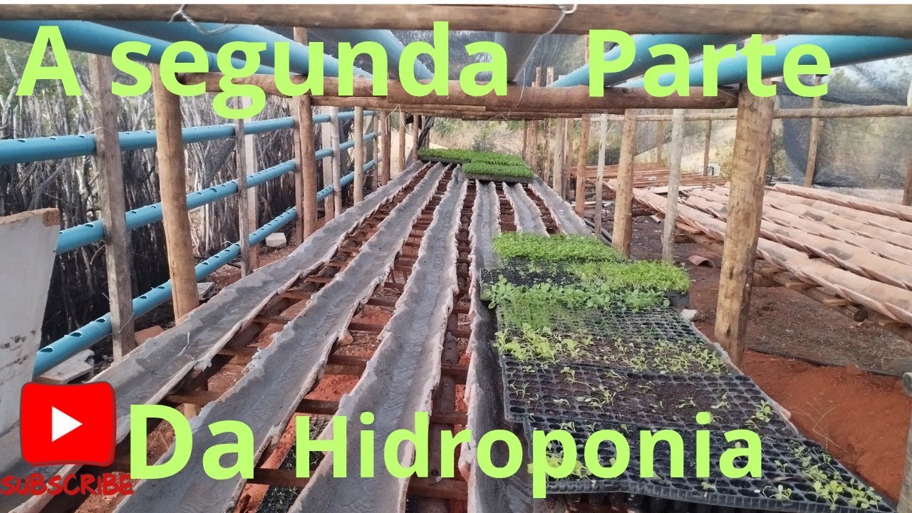 2° vídeo, como plantar hortaliças na hidroponia, no cano e na telha