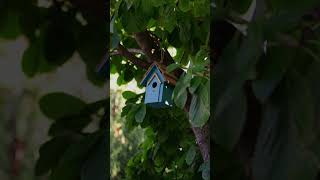 Generative AI: Mastering Latent Reality