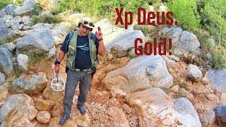 Xp Deus. Поиск самородного золота.