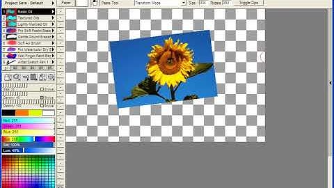 TwistedBrush Tutorials: Easy Layer Rotation, Scaling and Moving
