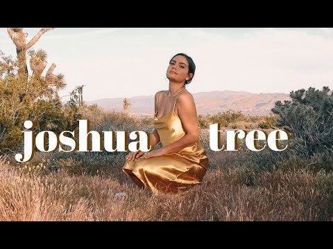 Video: Festa Per Il 75 ° Anniversario Del Parco Nazionale Di Joshua Tree - Matador Network