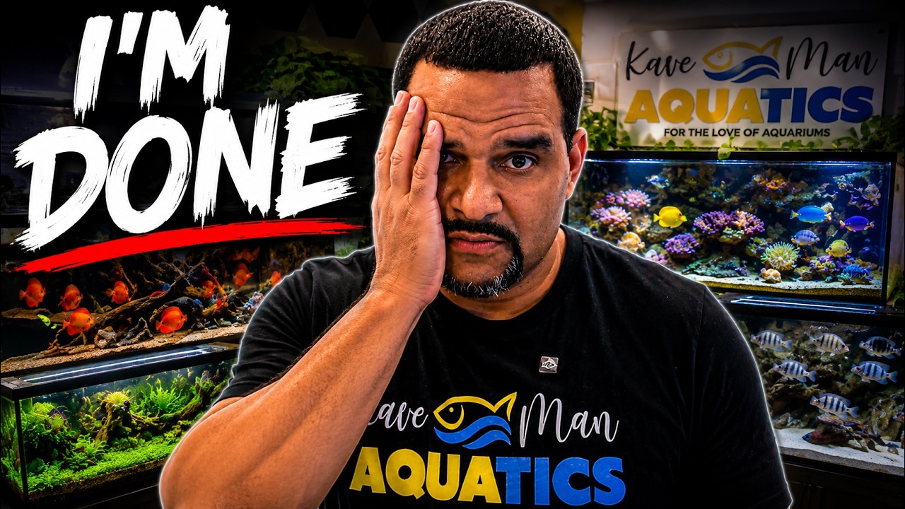 This Is Why People Quit Fishkeeping…