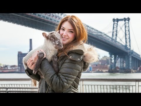 Most Unusual Pet Found In New York City