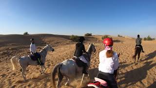Happy Dunes Stables Morning Canter Part 5 | 第五部分 策马奔腾，最好堕马走路回去马场