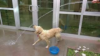 Sarı cool down in slowmo