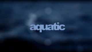 Aiirwave - Aquatic