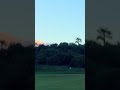 #golf