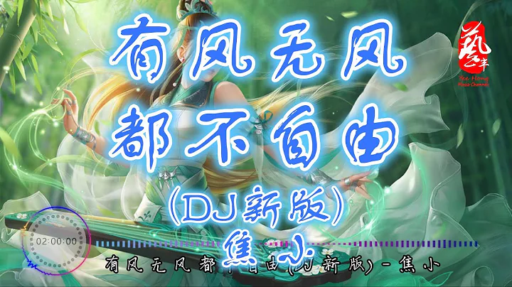 有風無風都不自由(DJ新版) - 焦小 【抖音】【無損音質】【動態歌詞】 - 天天要聞