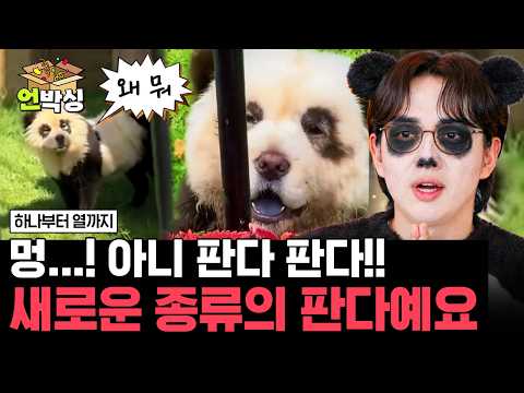 [#하나부터열까지] 강아지 소리를 내고 꼬리가 긴 판다의 등장🐼 | #언박싱 | #E채널 하이라이트 배송완료