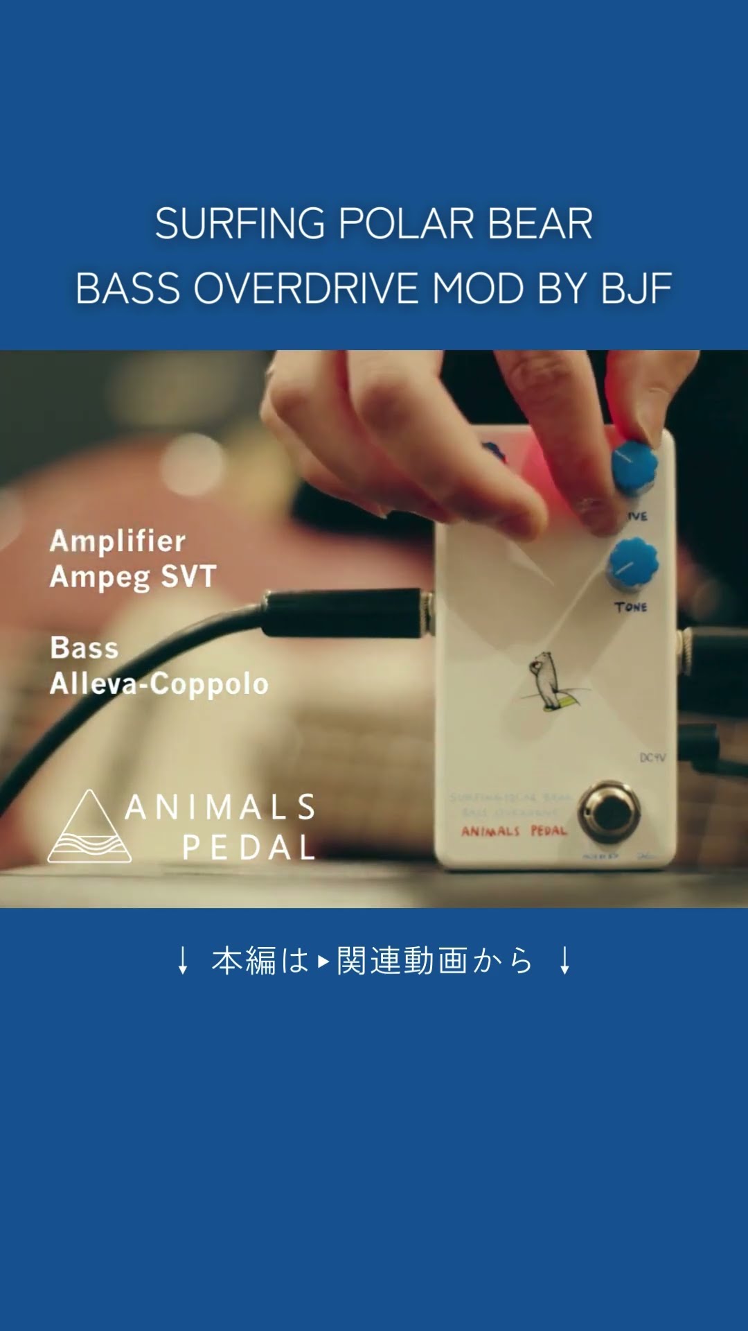 マツモトタクロウさんによるSURFING POLAR BEAR🐻‍❄️BASS
