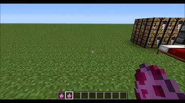 1.4.5 Minecraft Mods: Nyan Cat!