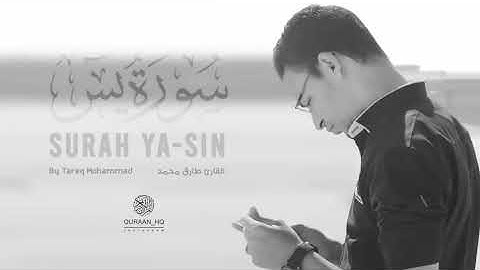 وأخيراً سورة يس كاملة بصوت القارئ طارق محمد  💚 تلاوة قمة في الهدووء 💚 Surah Yasin