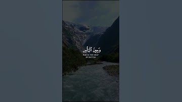 تلاوة خاشعة بصوت القارئ ماهر المعيقلي | حالات واتس اب قران | والصابرين في البأساء والضراء وحين البأس