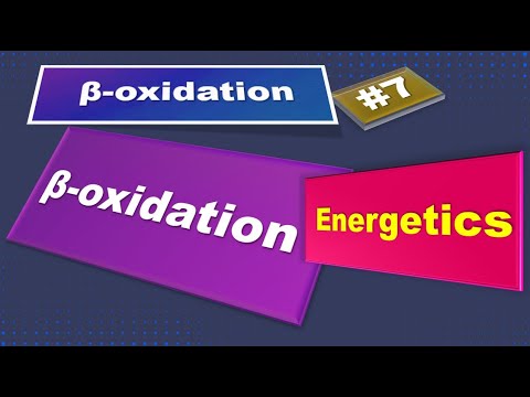 ቪዲዮ: በ acetyl CoA ምስረታ ውስጥ ስንት ATP ይመረታሉ?