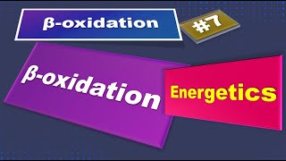 Energetics of Beta oxidation:  biochemistry