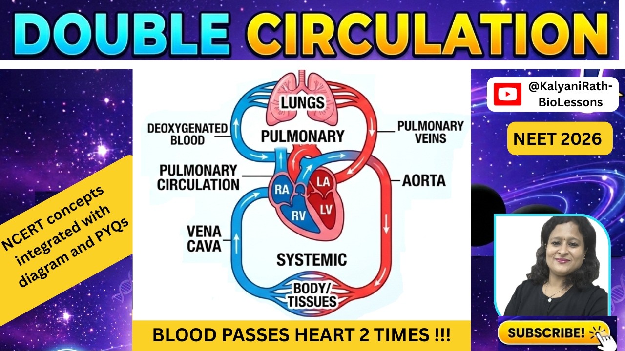 Everything about Double Circulation & Hepatic Portal System | NCERT ...