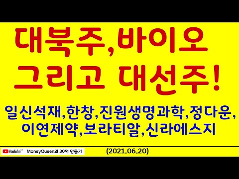 제597강 - 대북주,바이오 그리고 대선주! (20210620)