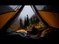 Dormez profondment avec un chat ronronnant apaisant et une douce pluie dans une tente confortable