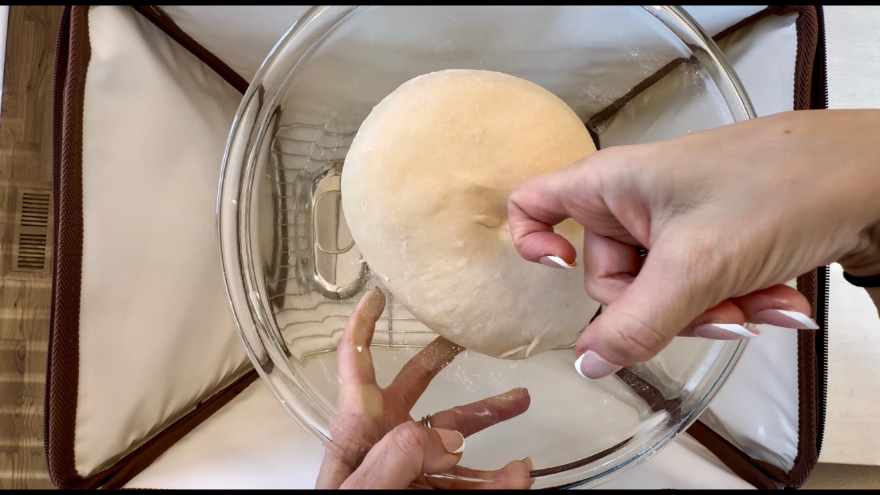 Best Bread Proofing Box for Sourdough | Temp Control Foldable Dough ...
