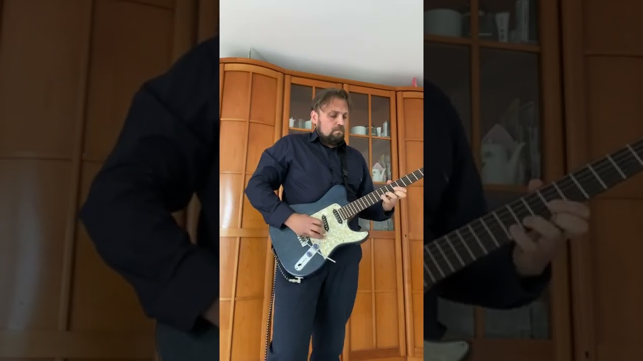 Framus Renegade Pro 1995