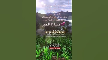 تلاوة خاشعة عطرة مباركة جميلة عذبة للشيخ ماهر المعيقلي ماتيسر من سورة الأعلى