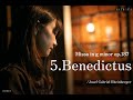 Benedictus (Missa in g minor op.187) / Voces Fidelis