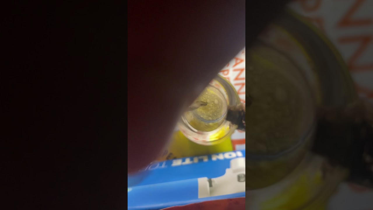 Short video of me taking a dab rip.