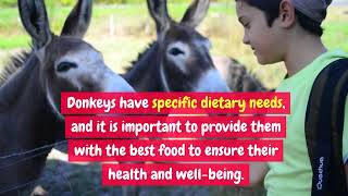 Best Food for Donkey | Dr. Veda