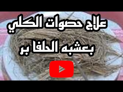 مشروب الحلفا بر وما هو وفوائد الحلفا بر واضرار الحلفا بر 