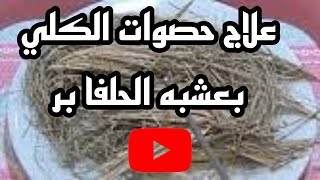 مشروب الحلفا بر وما هو وفوائد الحلفا بر واضرار الحلفا بر