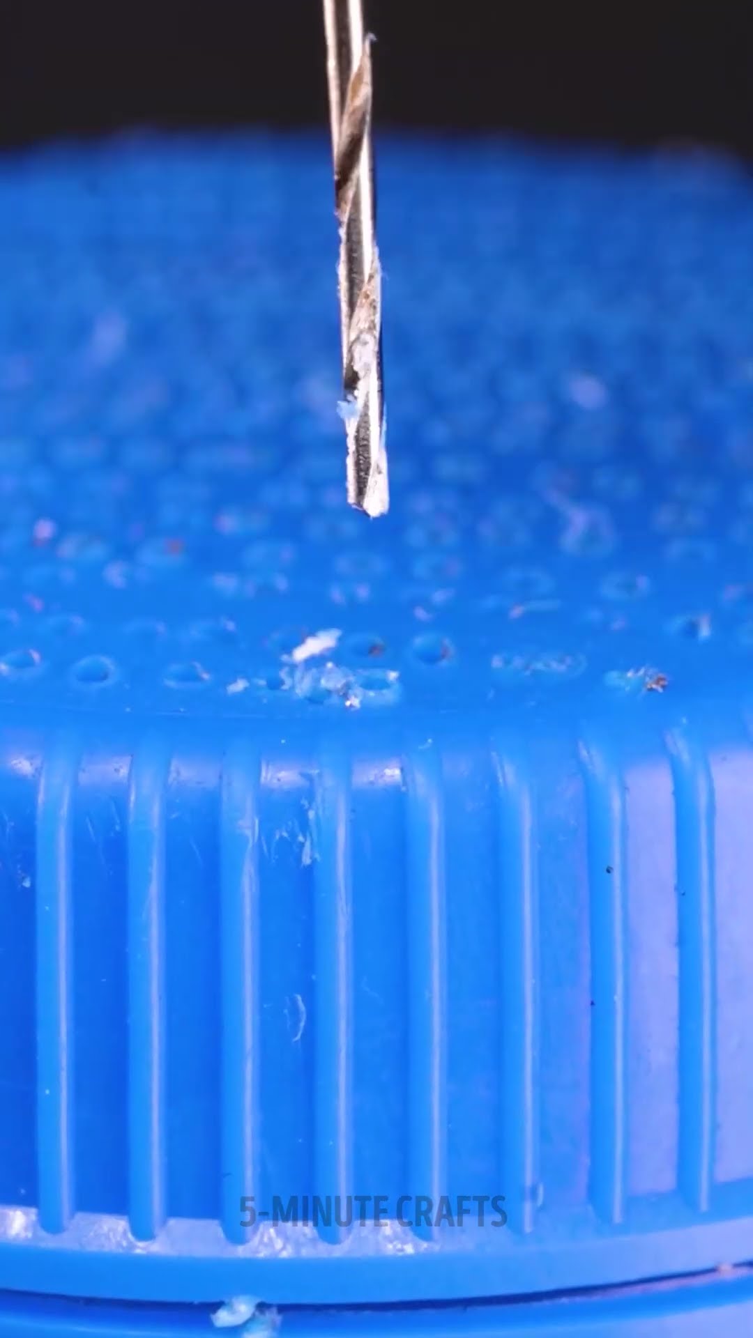 ? Don't Throw, but Recycle! Simple Water Bottle Upgrade for Your Garden