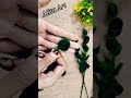 DIY Pipe Cleaner Flowers|| Flowers from Feather Wire #diyflowers