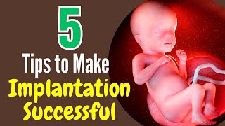 Trying to Get Pregnant 5 Tips to Make implantation Successful Naturally