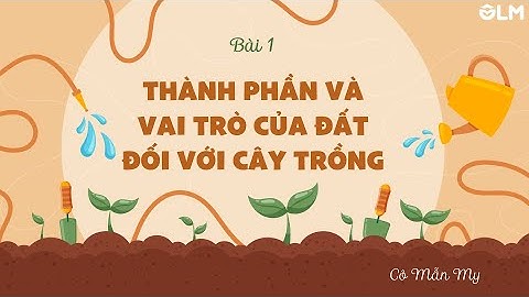 Bài 1. Thành phần và vai trò của đất đối với cây trồng - Khoa học 5 - KNTTVCS - OLM.VN
