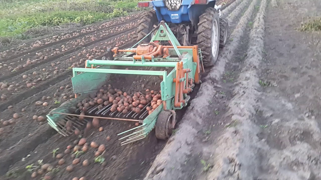 Ролик На Полотно Копалки Цена Мордовии