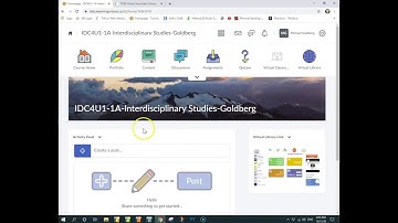 Widget Creation in BrightSpace