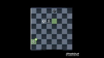 Checkmate with  two bishop 