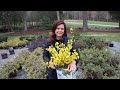 First Spring Nursery Tour // Gardening with Creekside