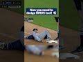 Pigeon 1, Kevin Kiermaier 0 🤣