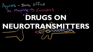 The Influence of Drugs on Neurotransmitters - AP Psychology