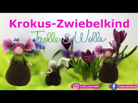 Video: Erfahre, wie man Krokusblüten pflegt