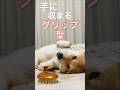 新アイテムについて語る柴犬こむぎ