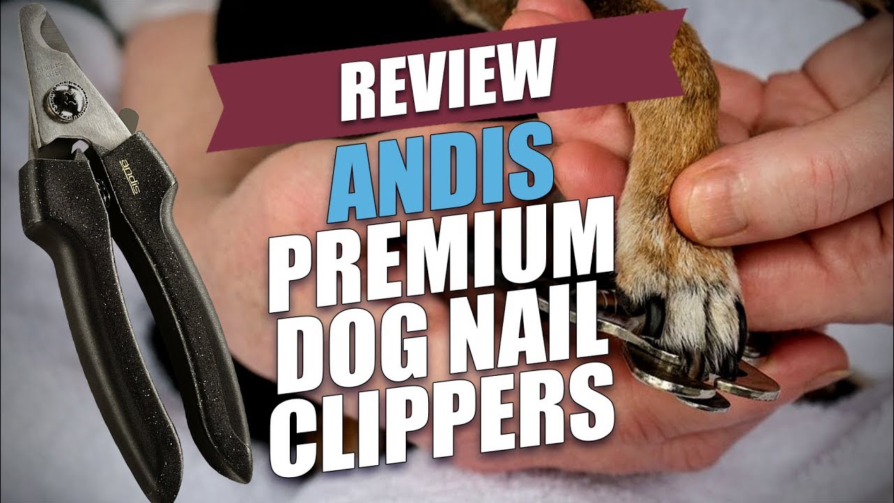 andis nail clippers