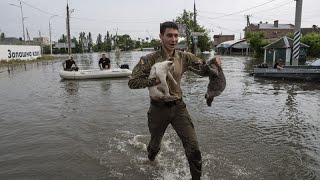 Le président Zelensky s’est rendu à Kherson, pour évaluer la situation après les inondations