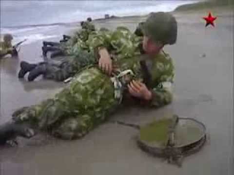 песни дениса майданова тихий океан