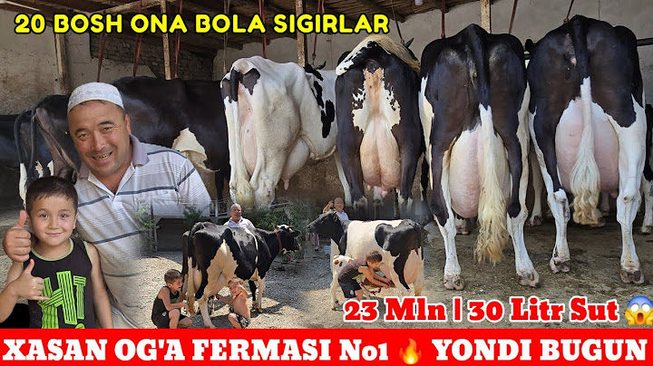 XASAN OG'A 23 MLN/30 LITR SUT BERADIGAN YANGI PARTIYA PULI ARZON RO'ZG'ORBOP SIGIRLAR KELDI