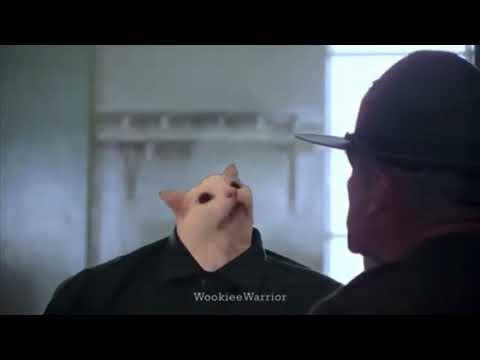 Thurston Waffles Joins The Army (Incredible!)